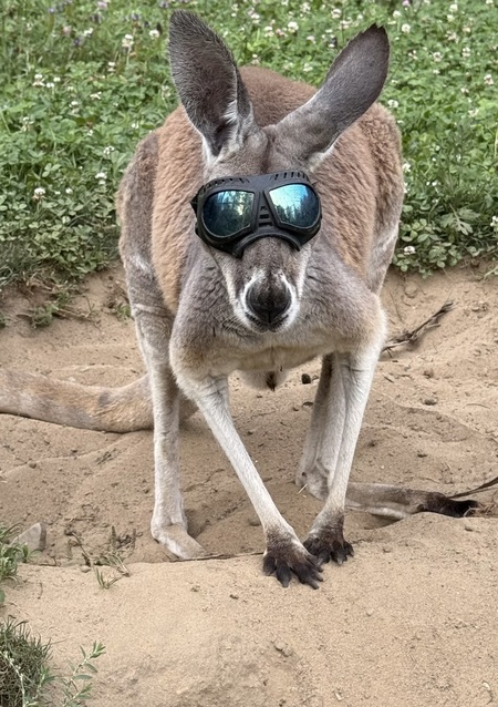 Entry image for Miss Olivia. Clicking this image will show a larger photo