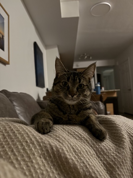 Entry image for Libby. Clicking this image will show a larger photo