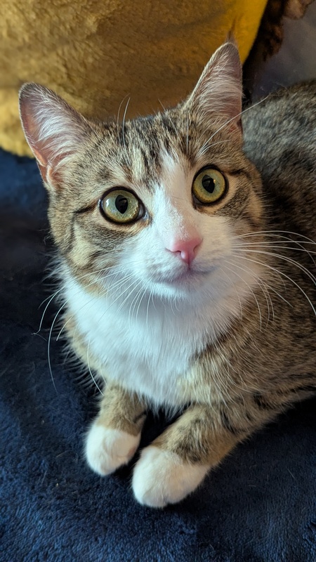 Entry image for Sue Ellen. Clicking this image will show a larger photo