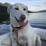 Entry image for Sola 