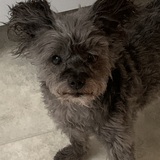 Entry image for Bunker