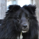 Entry image for Freddie 