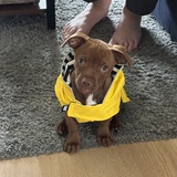 Entry image for Eugene