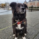 Entry image for Jackson