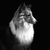 Entry image for Wiley