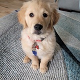 Entry image for Kobe 