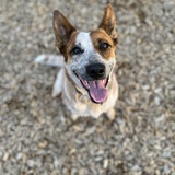 Entry image for Oakley