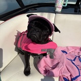 Entry image for Ocean