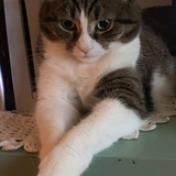 Entry image for Corpsegrinder