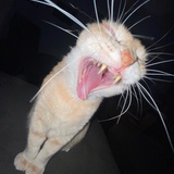 Entry image for Banksy