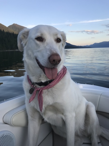 Entry image for Sola . Clicking this image will show a larger photo