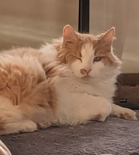 Entry image for Charlie. Clicking this image will show a larger photo