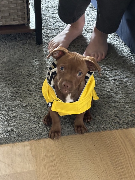 Entry image for Eugene. Clicking this image will show a larger photo