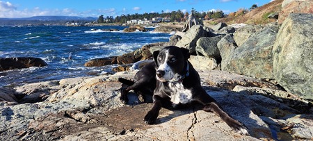 Entry image for Joe. Clicking this image will show a larger photo