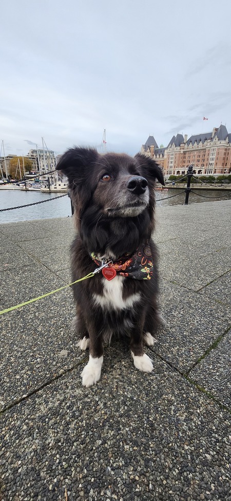 Entry image for Jackson. Clicking this image will show a larger photo