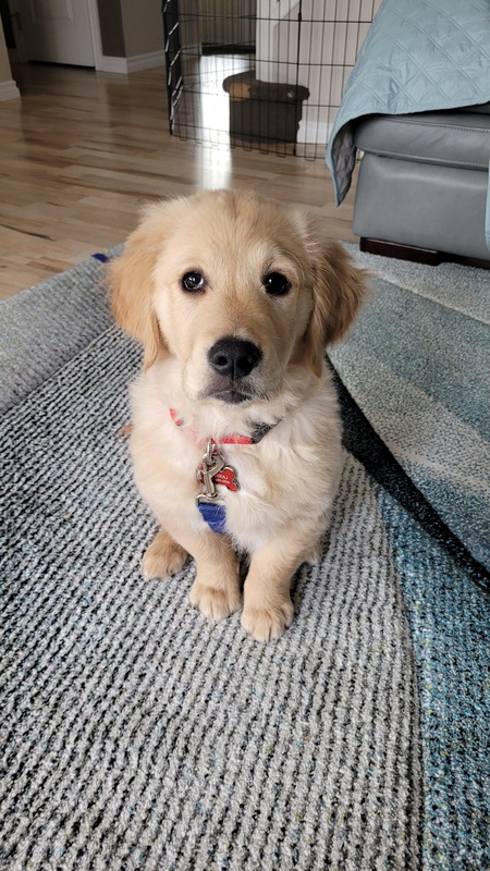 Entry image for Kobe . Clicking this image will show a larger photo