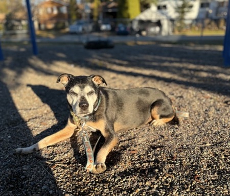 Entry image for Fin. Clicking this image will show a larger photo