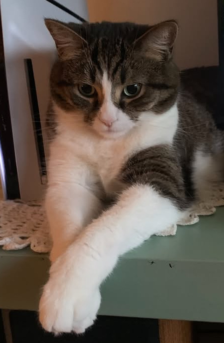 Entry image for Corpsegrinder. Clicking this image will show a larger photo