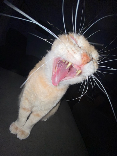 Entry image for Banksy. Clicking this image will show a larger photo