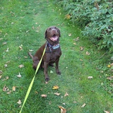 Entry image for Ellie 