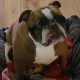 Entry image for Titan