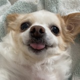 Entry image for Bebe