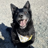 Entry image for Mabel