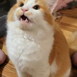 Entry image for Toast