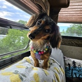 Entry image for Camo