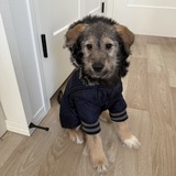 Entry image for Catherine