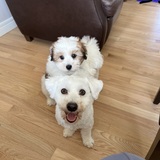 Entry image for Marty and Wilson 