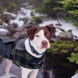 Entry image for Atlas