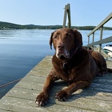 Entry image for Dakota