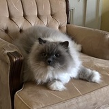 Entry image for Remington