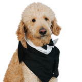 Entry image for Kane 