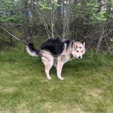 Entry image for Jaxsen