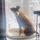 Entry image for Winnie