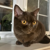 Entry image for Cider