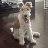 Entry image for Rory