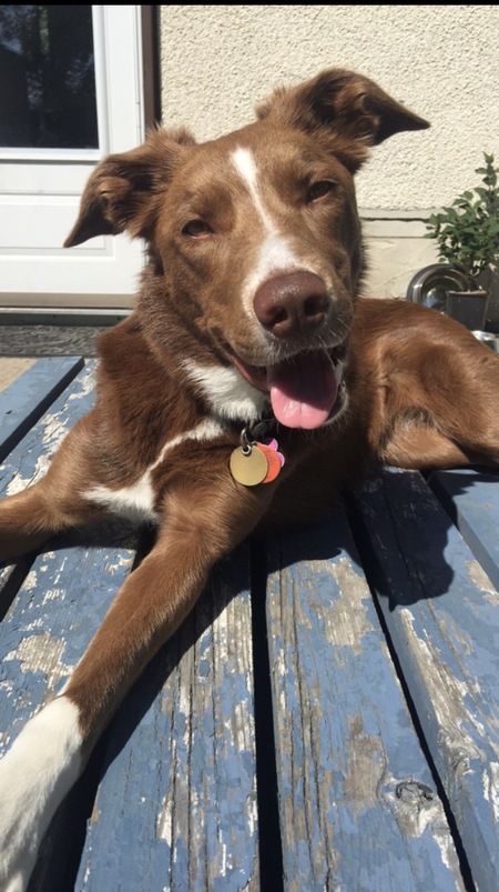 Entry image for Ginny. Clicking this image will show a larger photo