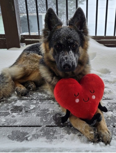 Entry image for CASH. Clicking this image will show a larger photo