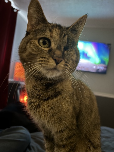 Entry image for Skiggs . Clicking this image will show a larger photo