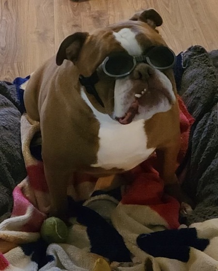 Entry image for Titan. Clicking this image will show a larger photo