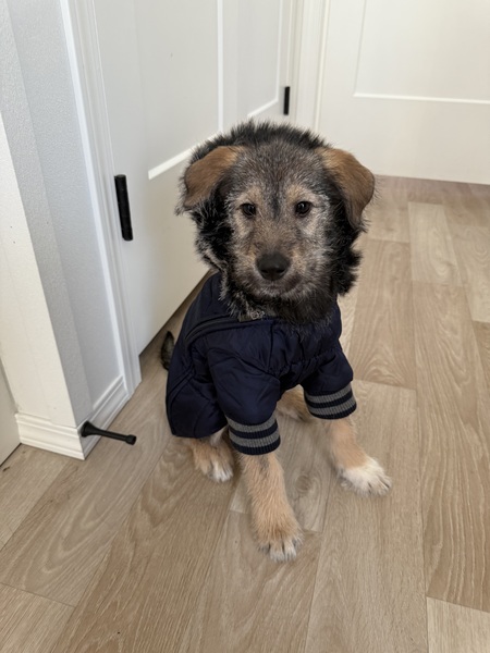 Entry image for Catherine. Clicking this image will show a larger photo