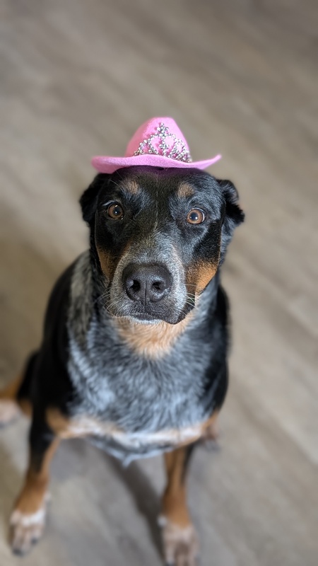 Entry image for Vera. Clicking this image will show a larger photo