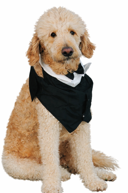 Entry image for Kane . Clicking this image will show a larger photo