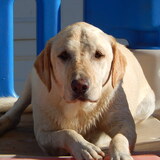 Entry image for Libby