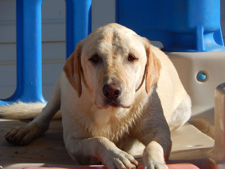 Entry image for Libby. Clicking this image will show a larger photo