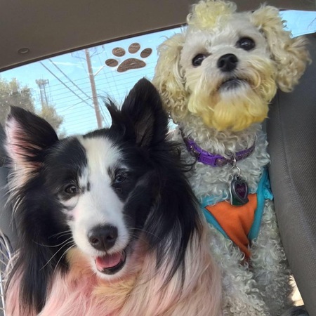 Entry image for Synda &Tink. Clicking this image will show a larger photo