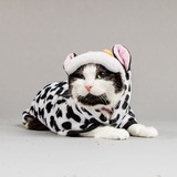 Entry image for Millie